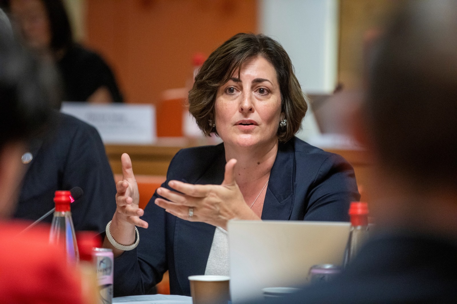  » La mécanisation de l’agriculture africaine ne fonctionnera pas si nous ne changeons pas notre manière de faire « (Beth Bechdol/Directrice générale adjointe de la FAO)