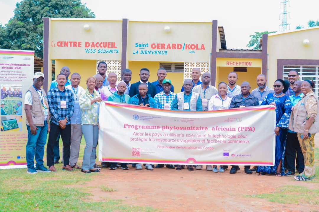 Lutte contre les maladies des végétaux en RDC: La FAO organise un atelier de renforcement de capacités des experts du Ministère de l’Agriculture sur les principaux organismes nuisibles à Mbanza-Ngungu