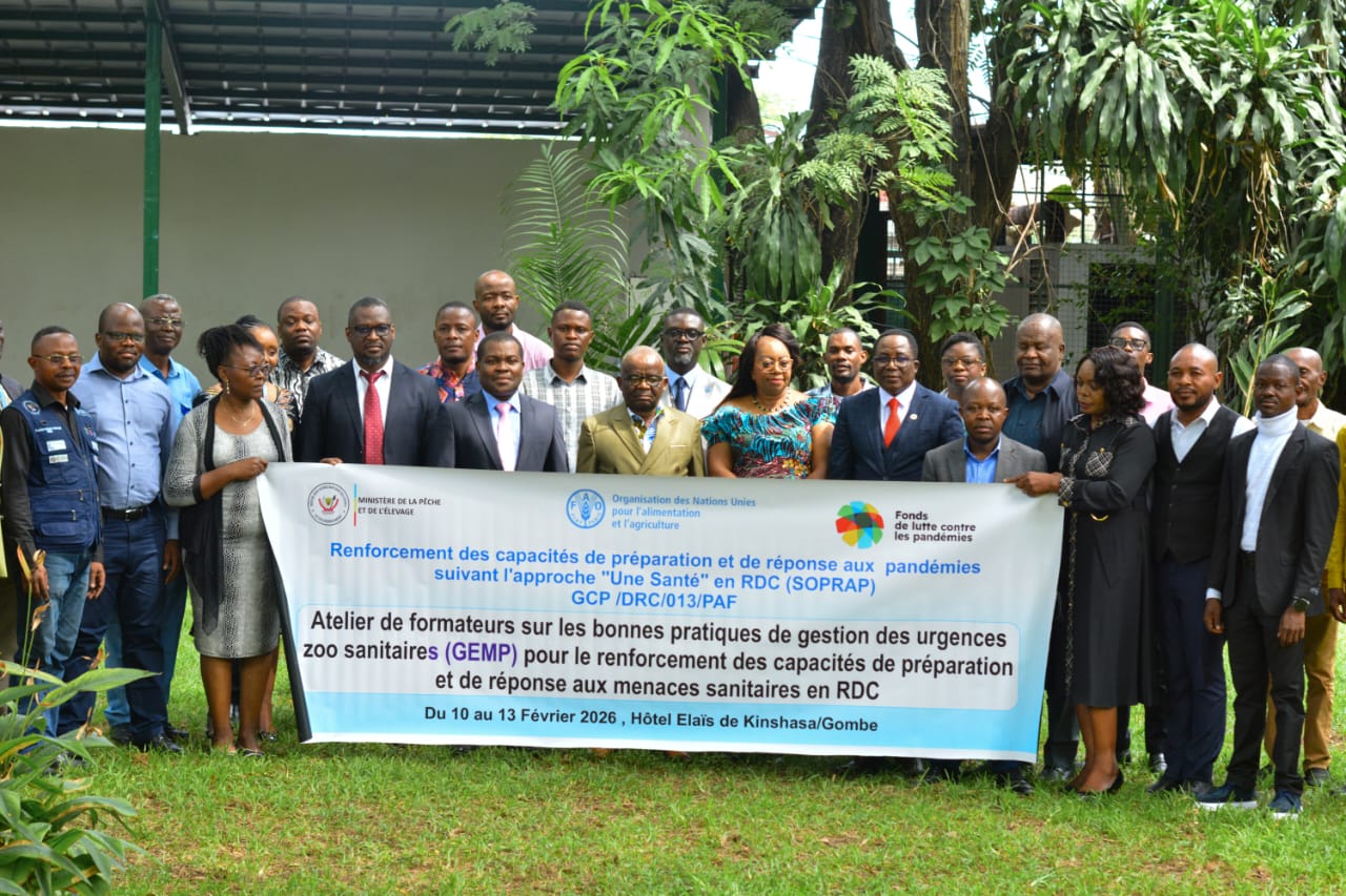 Renforcement des capacités de préparation et de réponse aux menaces sanitaires en RDC : La FAO forme des formateurs sur les bonnes pratiques de gestion des urgences zoo sanitaire