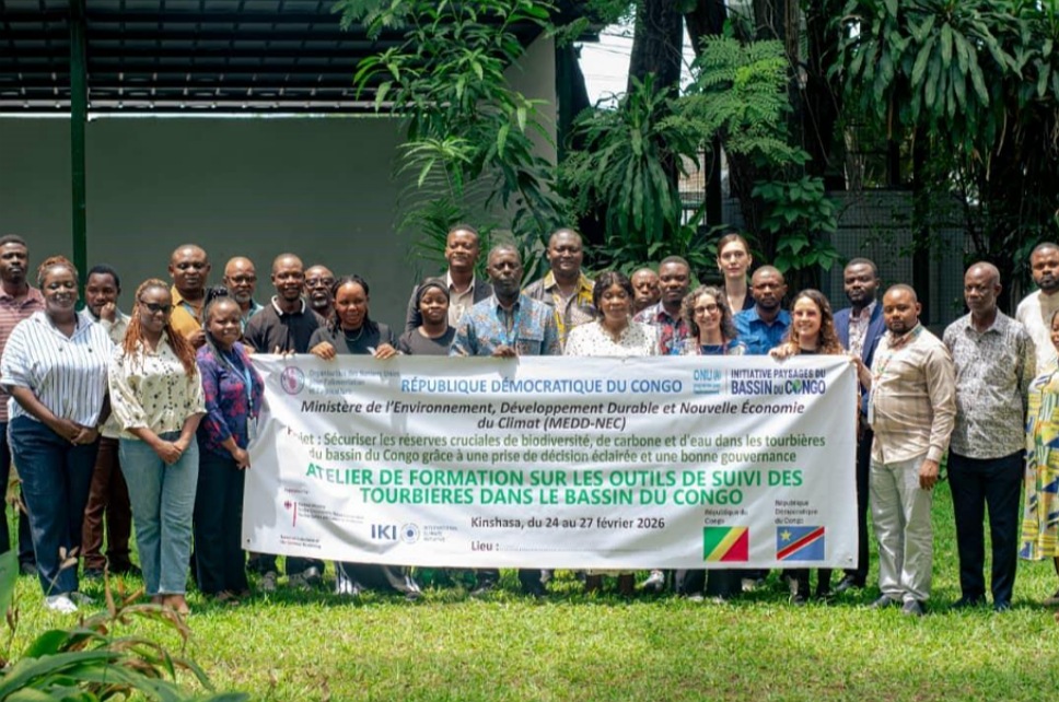 Renforcer le suivi national des tourbières dans le Bassin du Congo central grâce à des ateliers techniques interinstitutionnels