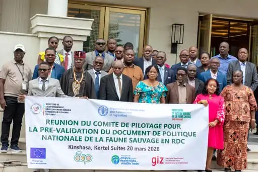 Dotation de la première Politique Nationale sur la Faune Sauvage en RDC : La FAO appuie la tenue de la 3eme réunion du Comité de Pilotage