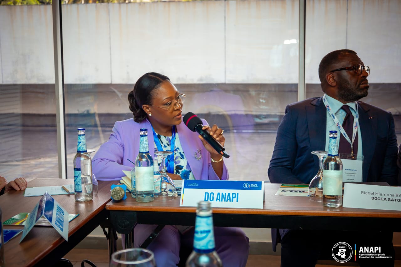 Investissements en RDC : l’ANAPI se positionne comme guichet unique pour attirer les investisseurs