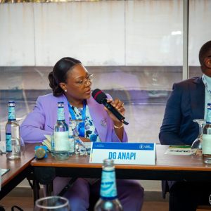 Investissements en RDC : l’ANAPI se positionne comme guichet unique pour attirer les investisseurs