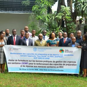 Renforcement des capacités de préparation et de réponse aux menaces sanitaires en RDC : La FAO forme des formateurs sur les bonnes pratiques de gestion des urgences zoo sanitaire
