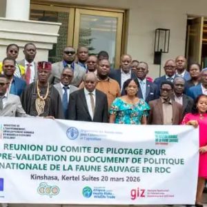Dotation de la première Politique Nationale sur la Faune Sauvage en RDC : La FAO appuie la tenue de la 3eme réunion du Comité de Pilotage